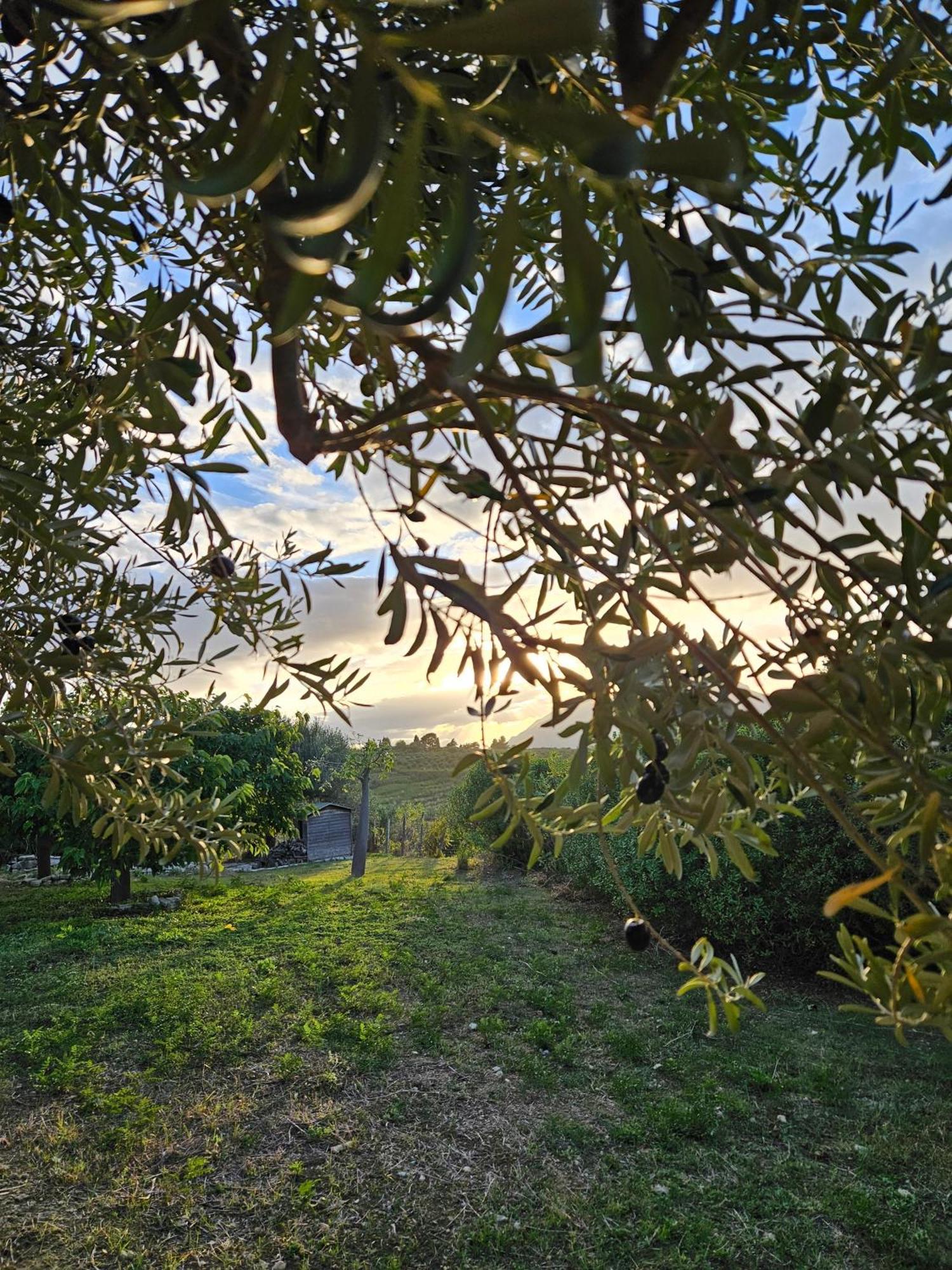 Villa Del Carrubo A Due Passi Dal Mare Di Cefalu Collesano Exteriér fotografie
