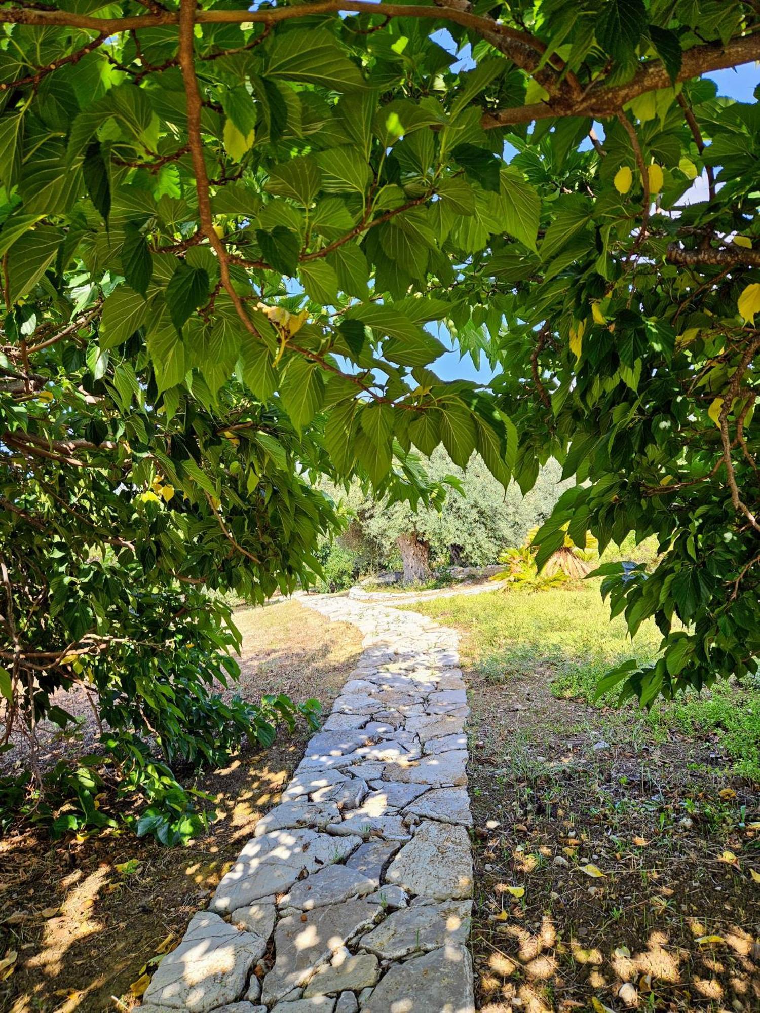 Villa Del Carrubo A Due Passi Dal Mare Di Cefalu Collesano Exteriér fotografie
