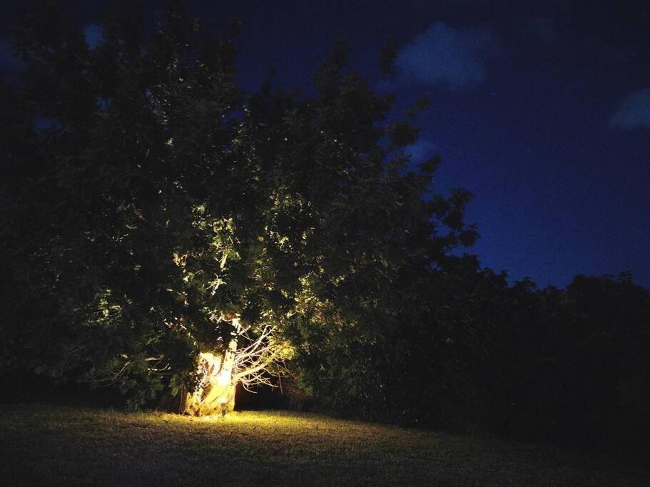 Villa Del Carrubo A Due Passi Dal Mare Di Cefalu Collesano Pokoj fotografie